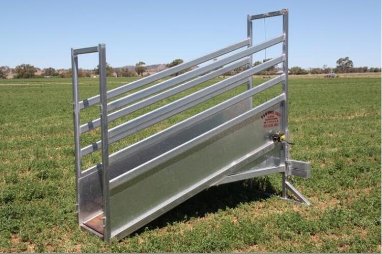 Fast Assemble Cattle Loading Ramp