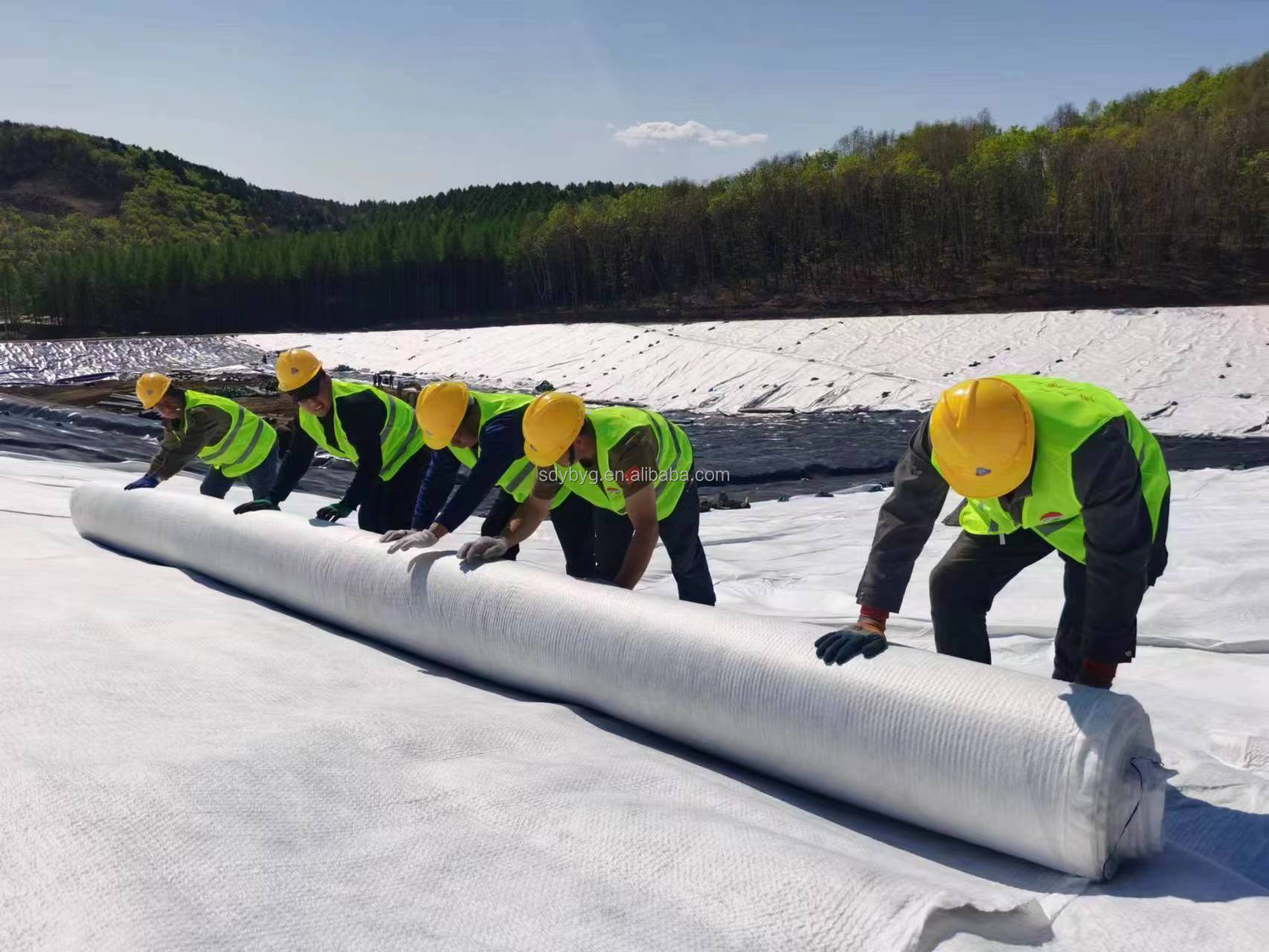 3D Composite Drainage Geonet for Greening System and Other Environmental Projects