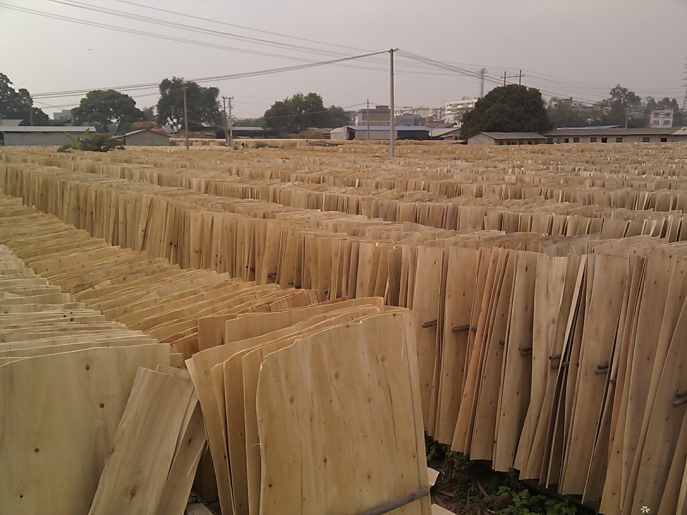 Construction WBP 1220*2440mm Film Faced Shuttering Plywood