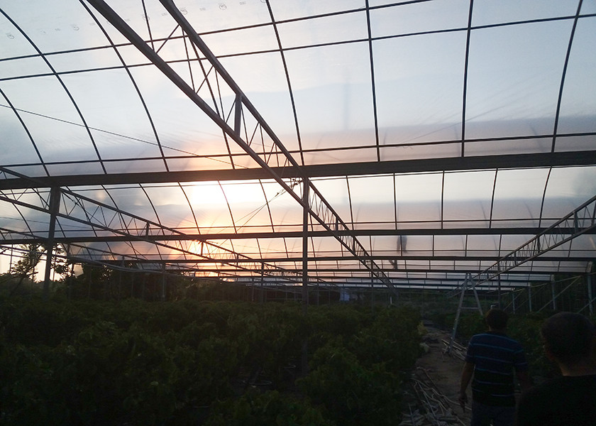 High Strength Hydroponic Clear Umbrella Greenhouse Strong Poly Tunnel