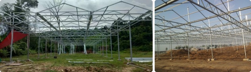 New Material Uv Protection PC Panel Greenhouse For Growing Vegetables