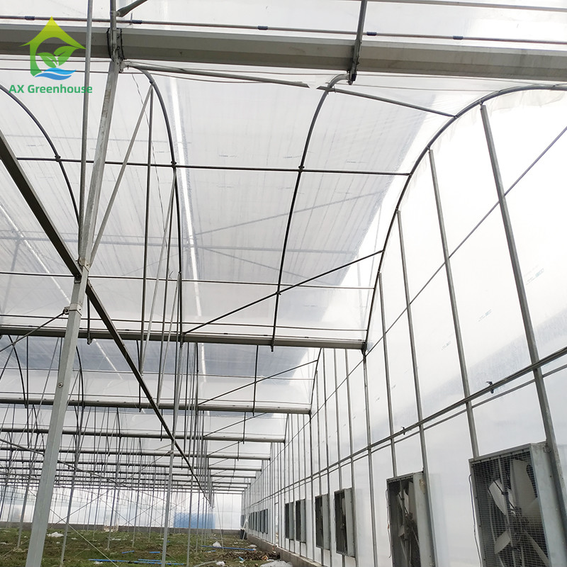 0.06mm 0.20mm Thick Flm Poly Tunnel Greenhouse Hot Galvanised Steel Greenhouse