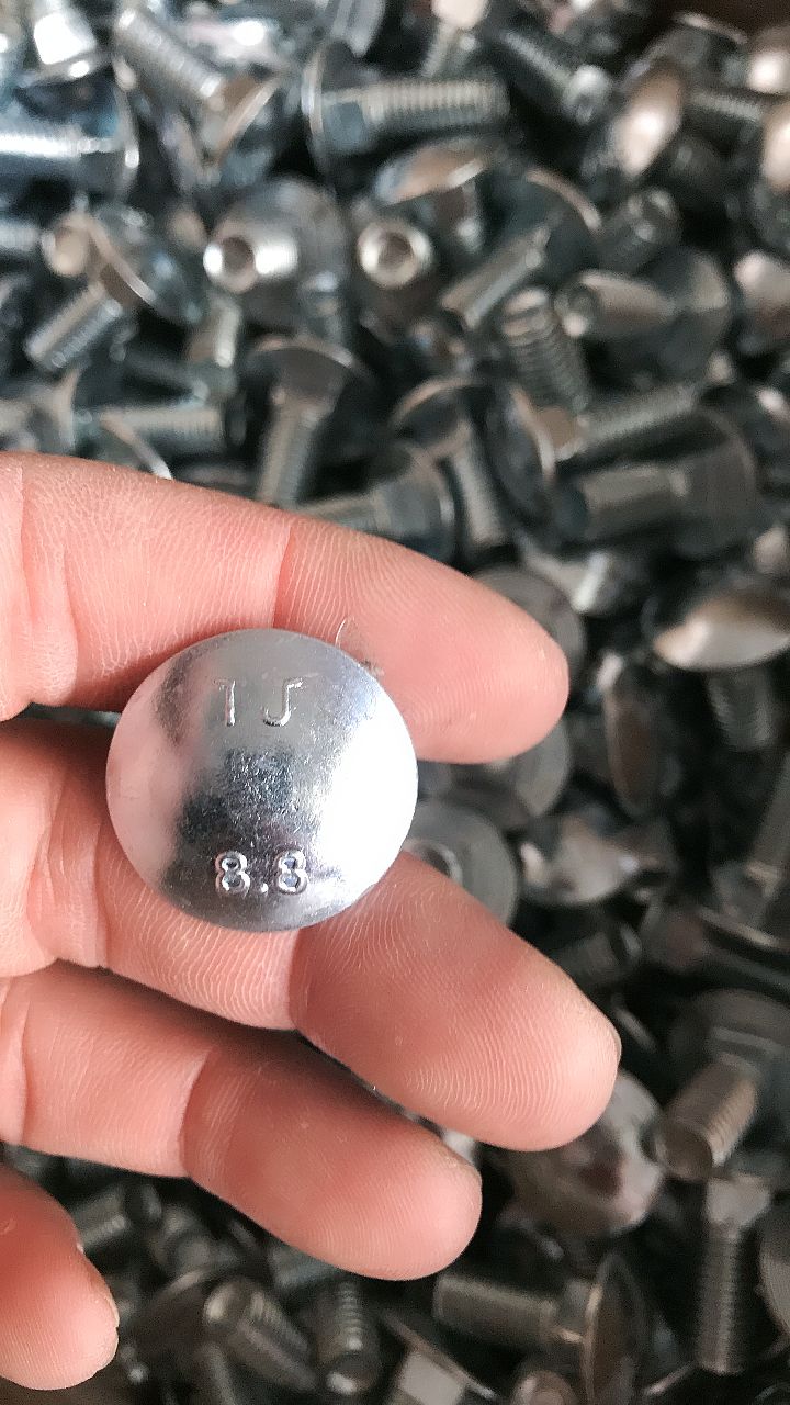 10mm X 200mm Fully Threaded DIN 603 HDG Gr 8.8 Carriage Bolt with High Tensile Strength and Hot Dip Galvanization