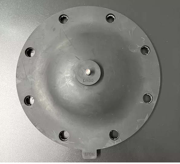 PTFE Tetrafluoro Acid Alkali Resistant Rubber Diaphragm Seals Pump Diaphragm