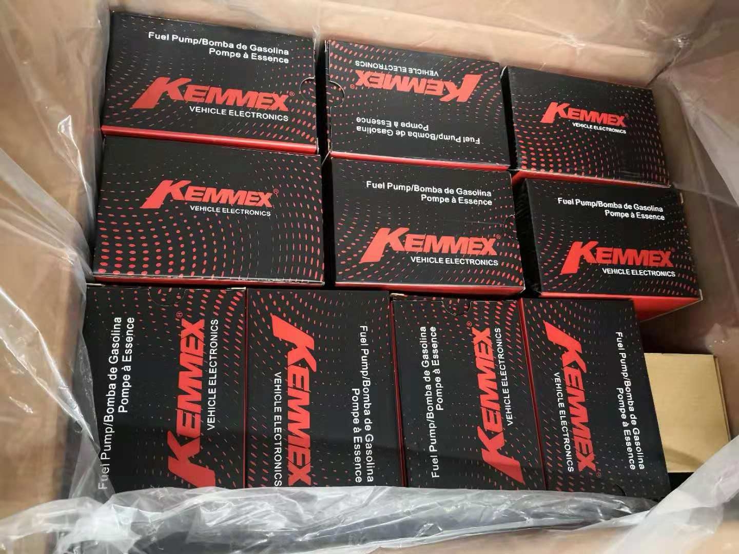 EFP3832 Fuel Pumps For Ford 31110-1R000 311101R000 336GE 31110 1R200 1987580011 by KEMMEX