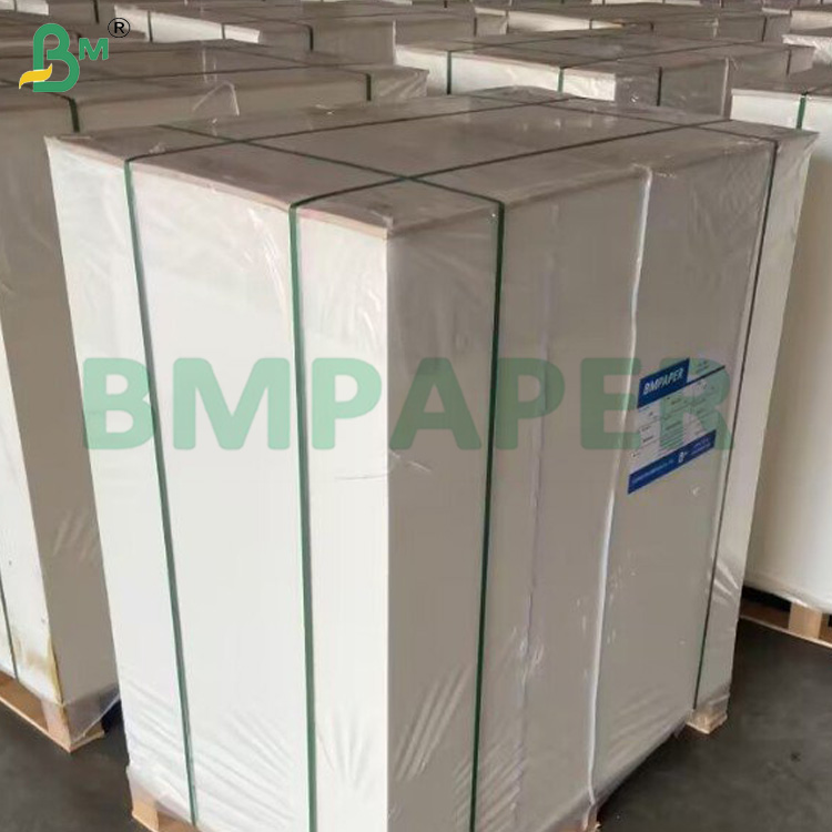 350g Coated Container Board C1S Food Grade Virgin Wood Pulp Card