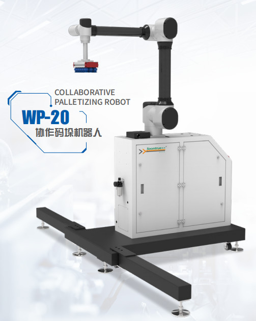 Robot Integration With Chinese Robot Arm WP-20 Palletizing Robot