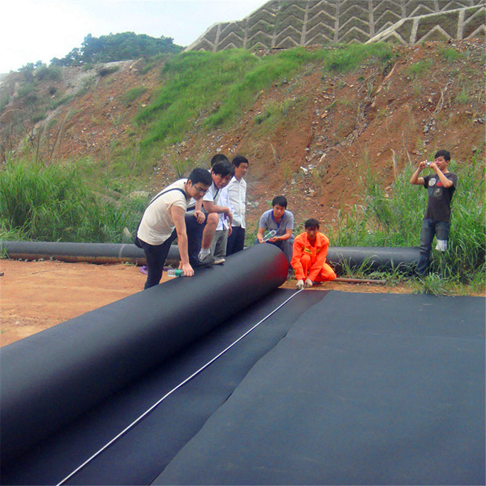 Anti-leakage Function HDPE/LDPE/EVA Geomembrane Liner at with Freely Sampled Option