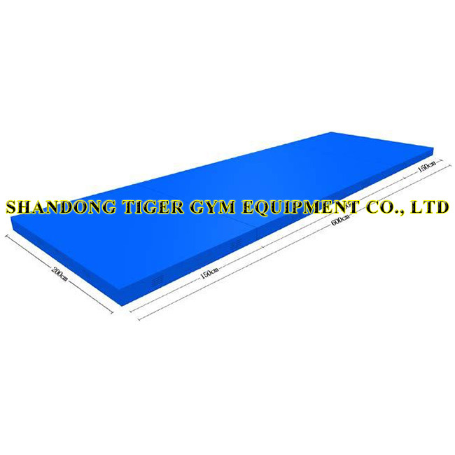 Gymnastics Equipment Gymnastics Landing Mats for Rings (training type)