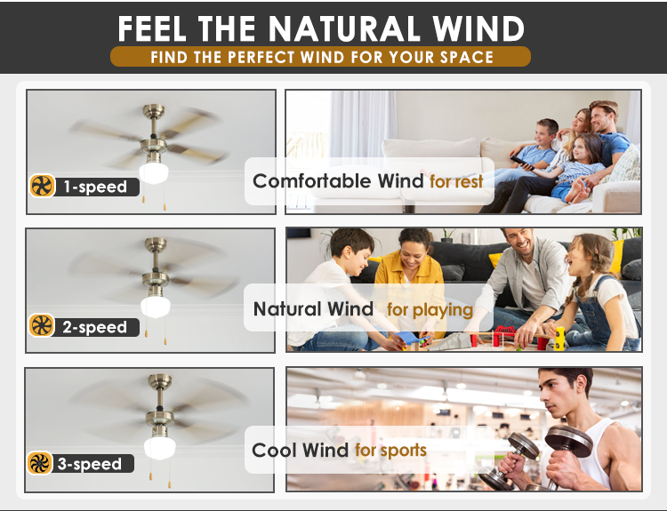 Comfortable Air Cooling Ceiling Fan with 110V Input Voltage and Traditional Style