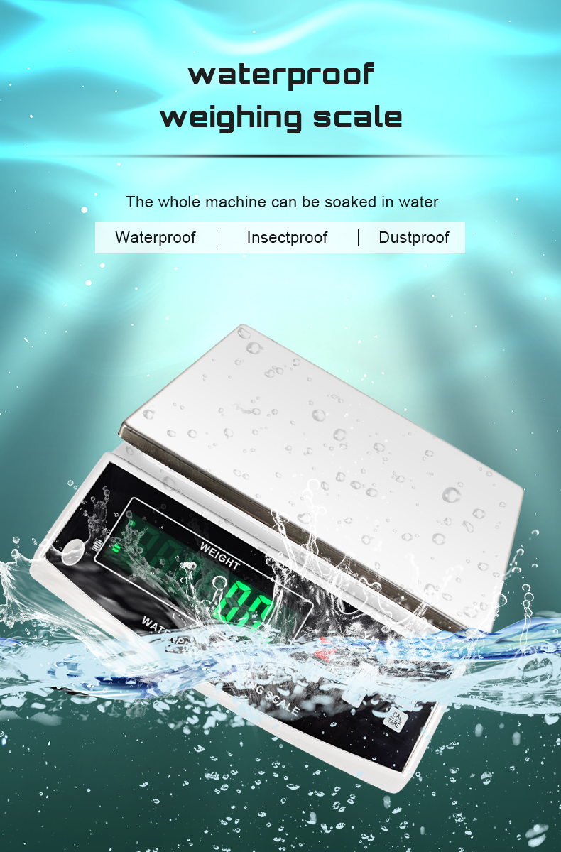 Waterproof Acs Price Scale Double Display Industrial Weighing Scale