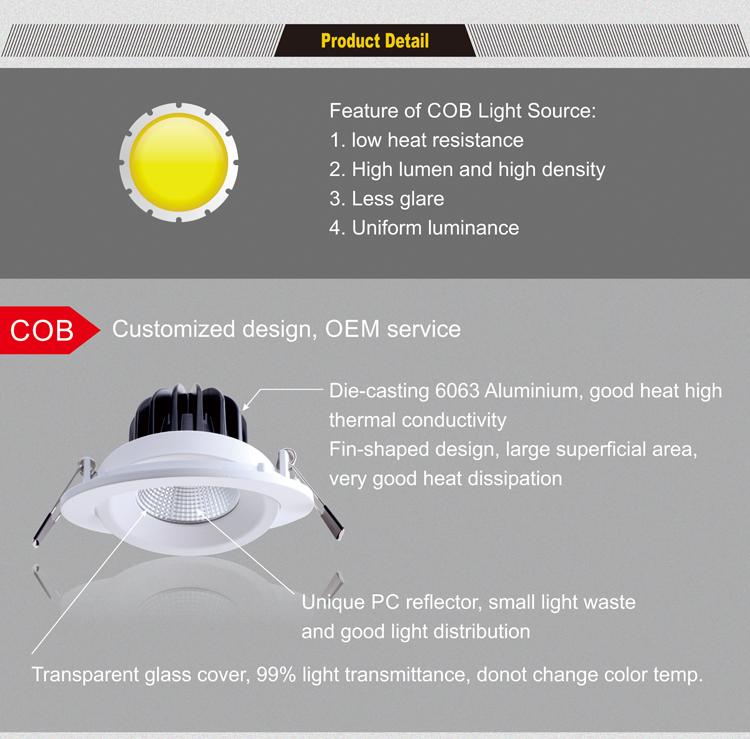 LED 10W COB ceiling light Chinese supplier