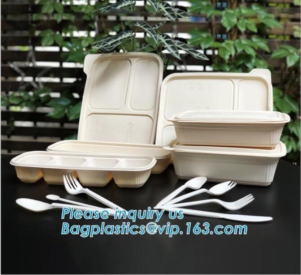 Take Away Fast Food, Compartment Packing Box, Containers, Starch Biodegradable,