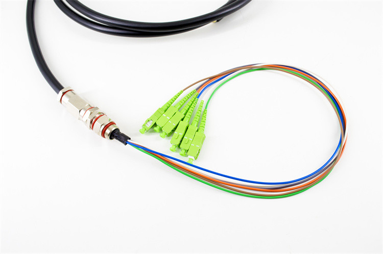 4 6 8 12 24 36 Core Outdoor Waterproof Armoured Fiber Optic Pigtail Patch Cord