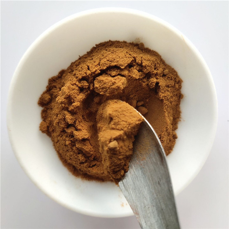 Polypodium Barometz L.Extract/Polypodium Extract With Best Price