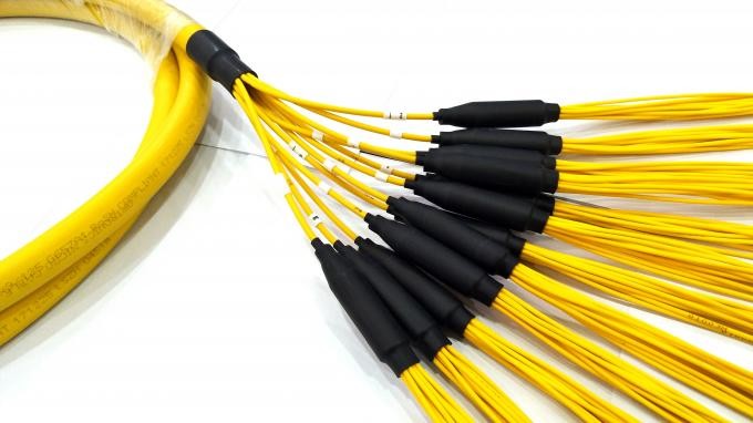 SC UPC G652D 12 Branches 144 Core Fiber Optic Patch Cords