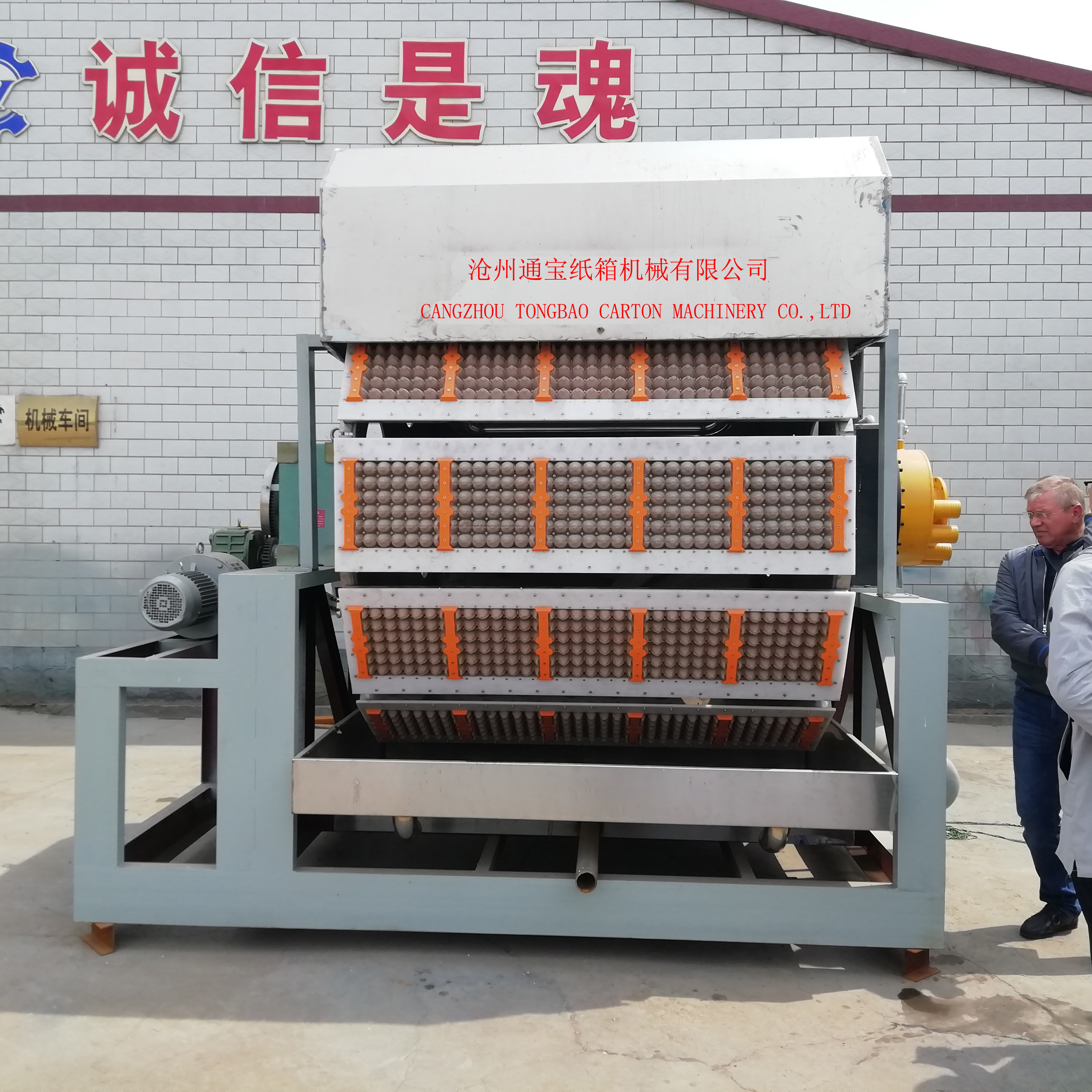 State-of-the-Art Egg Tray Machine for Sustainable Packaging Solutions