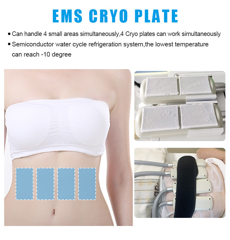 Non Surgical Body Shaping Slimming Machine 1100W With 10D Contour System