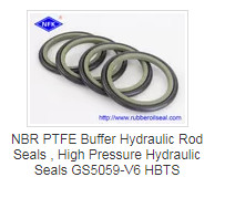 BABSL High Pressure Rotary Shaft CFW Rubber Oil Seal