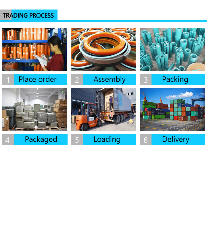 Machinery Repair Shops NBR POM Hot Products KDAS Seals Hydraulic Piston 40*32