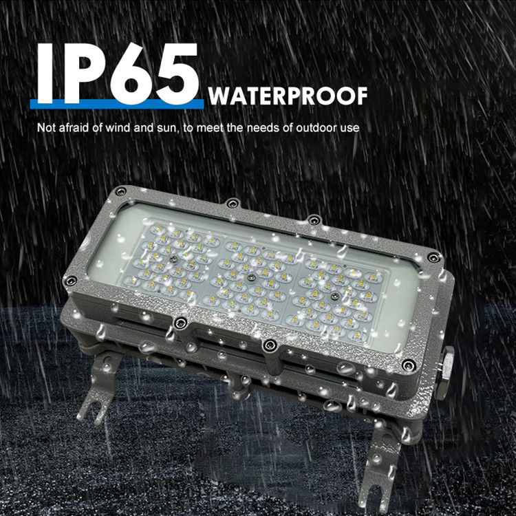 Ip65 50w Led Explosion-Proof Light For Subway Tunnel Waterproof