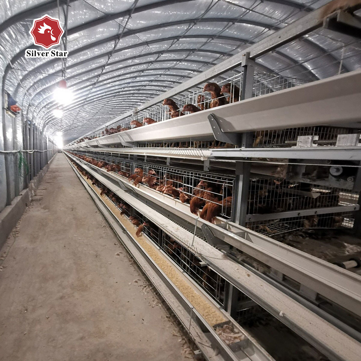 H Type 3 Tiers Chicken Poultry Cage 5 Layers/Cell For Farm