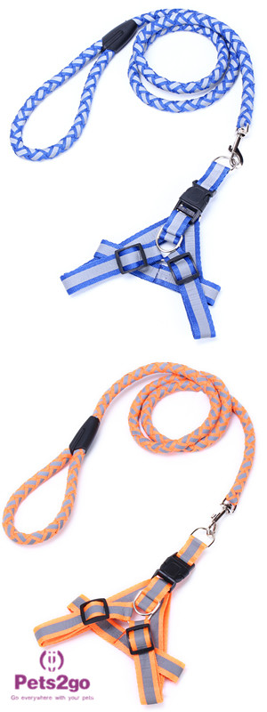 Pet Training Dog Shock Collar Puppies Tools Basic Concepts Learning Curve