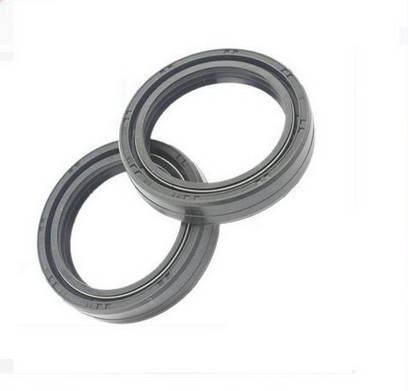 high quality TC Oil seal 30*42*11 41*53*8 OEM China Manufacturer FKM hydraulic oil seal for gearbox