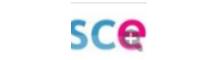 China Carsce Auto Parts Co., Ltd logo