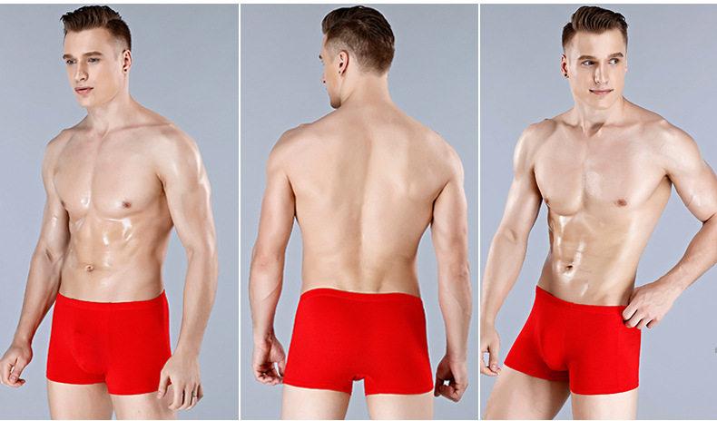 Sustainable Adults Mens Boxer Shorts Seamless Plus Size Bamboo Fabric Shorts