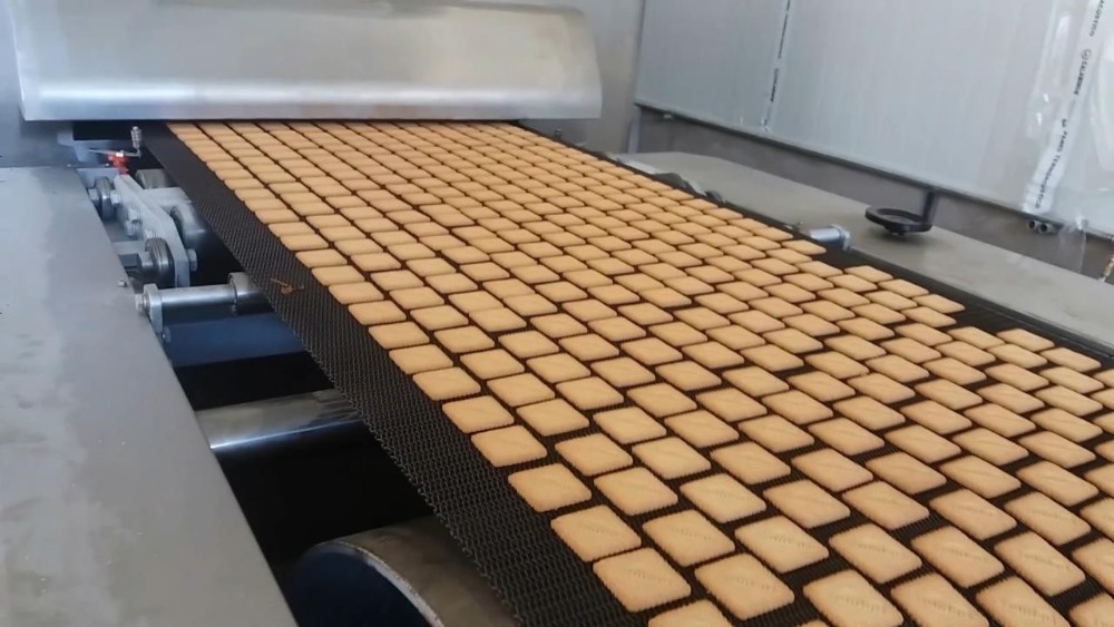 Soft Biscuit Production Line Rotary Moulder Biscuit Making Machine 50-200kg/H Capacity