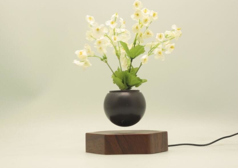 wooden base creative magnetic levitation floating air bonsai plant tree flowerpotted for gift