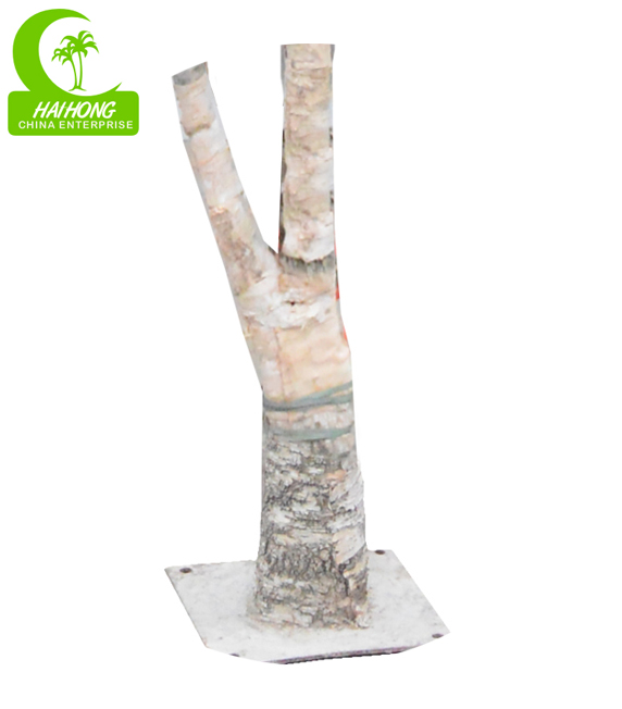 white birch tree