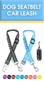 dog seatbelt car leash