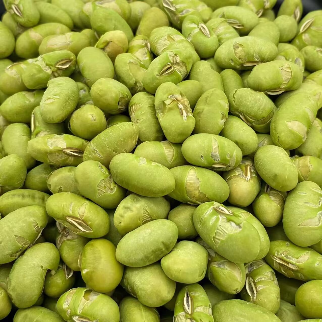 Halal Certificate Bean Snacks Roasted Salted Green Soybeans Edamame OEM