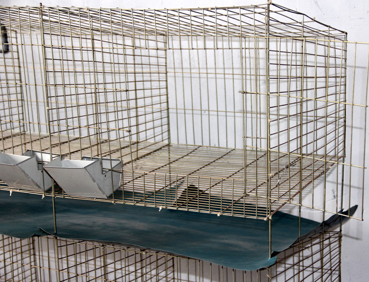 Building Reinforcing Stainless Steel Welded Rabbit Cage Wire Mesh,Bending, Welding, Decoiling, Cutting, Punching
