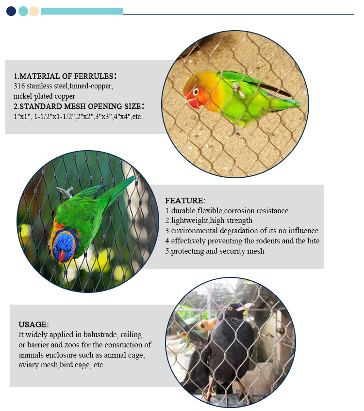 Factory SS 304 316 316L stainless steel rope net fence,Bird netting,Aviary