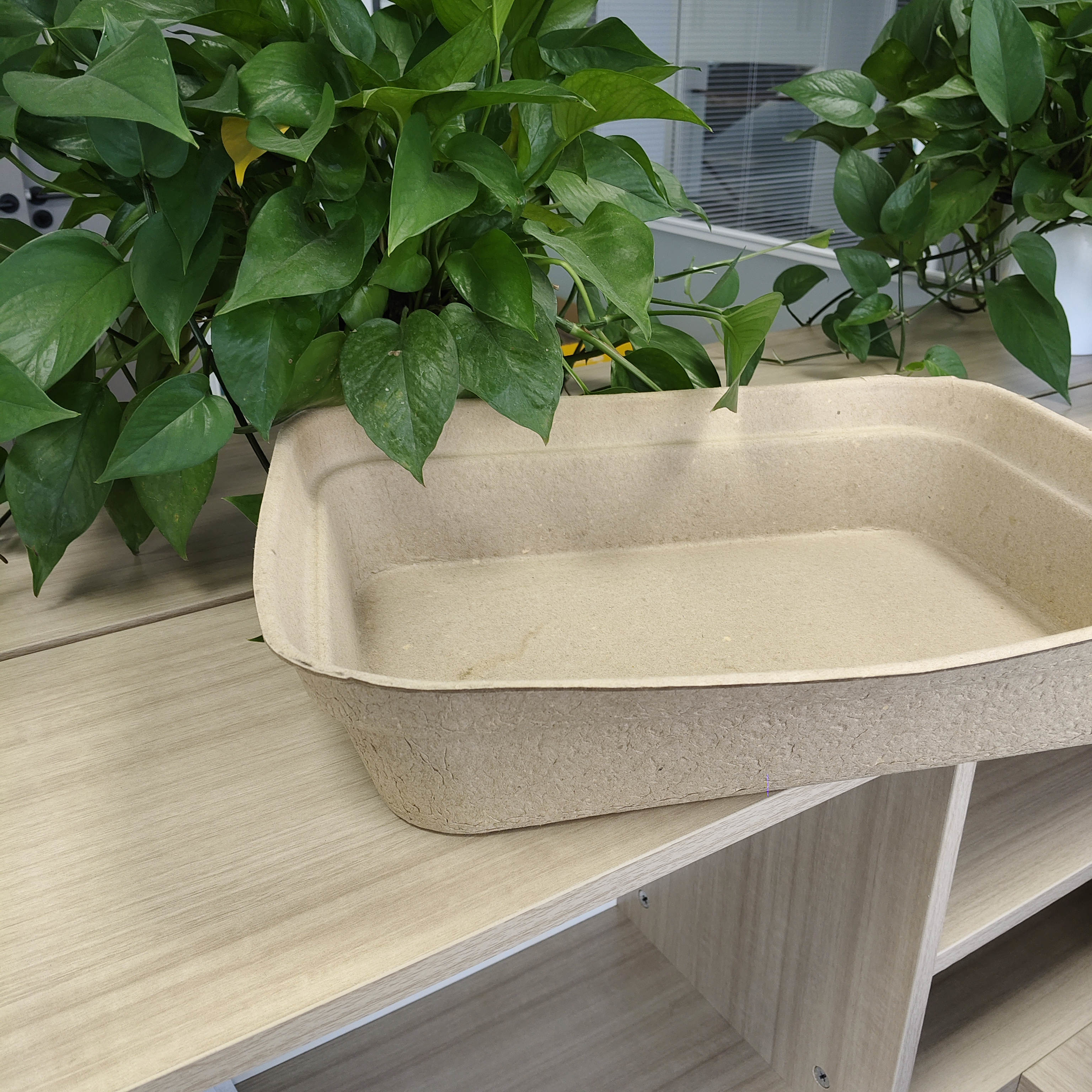 Direct factory supply: Disposable simple cat litter boxes, thickened, hardened, waterproof, moisture-proof, eco-friendly and degradable.