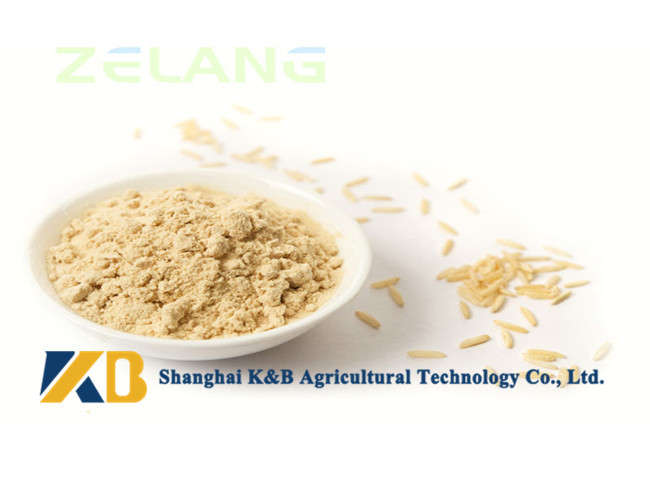 Non - Allergen Organic Brown Rice Protein Powder / Raw Rice Protein Yellowish Color