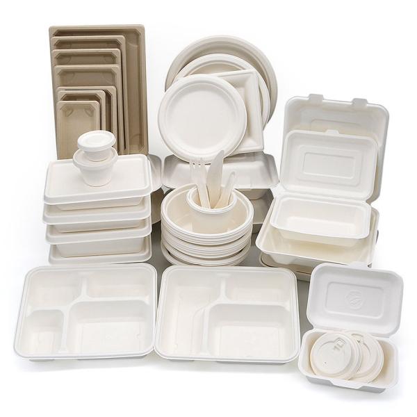 600ml Biodegradable & Compostable Sugarcane Take Away Bagasse Biodegradable