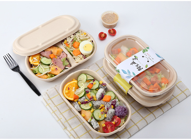 Disposable Tableware Sugarcane Pulp Bamboo Pulp Bowl 100% Degradable
