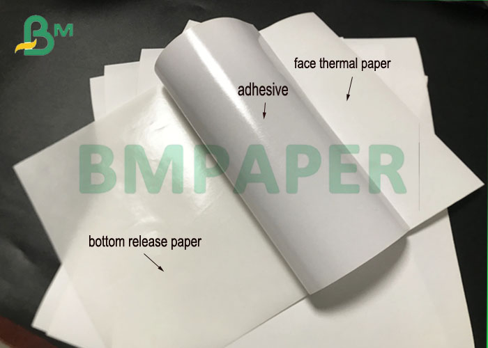 Jumbo Rolls Direct Thermal Label Adhesive Sticker Paper For Logistic Labels