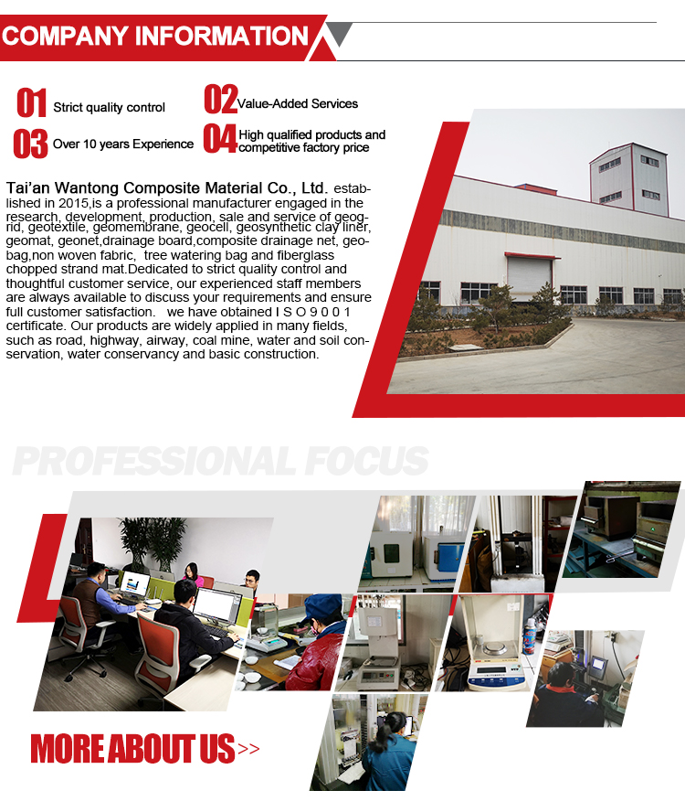 Professional Gcl Geosynthetic Clay Liner for Landfill Dam Lake Mining Project