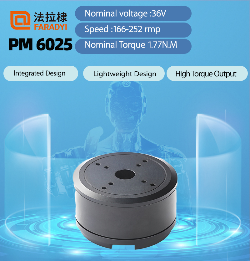 Faradyi Professional Manufacturer PM 6025 Round Motor Brushless 36V High Torque With Ten Year Production For Sweeping Robot For