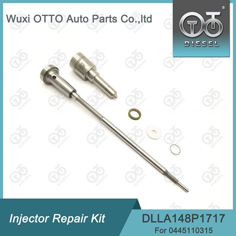 Bosch Injector Repair Kit For Injectors 0445110315 Nozzle DLLA148P1717