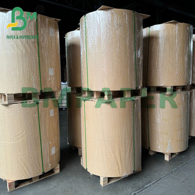 90gr Virgin Pulp Biodegradable Gift Wrapping Craft Bag Paper Roll