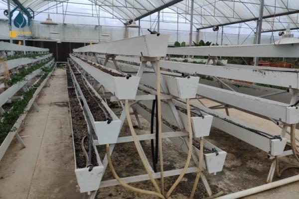 Modern Agricultural Strawberry Growing Troughs Greenhouse PVC Hydroponic Grow