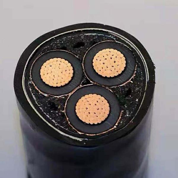 16/25/35/50/70/95/120/150/185 Custom Size 3-Core XLPE PVC Insulated Power Cable