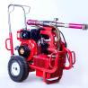 Buy cheap Diesel Engine Electric Paint Sprayer Airless Sprayer Piston Pump 250 Bar 13.5 from wholesalers