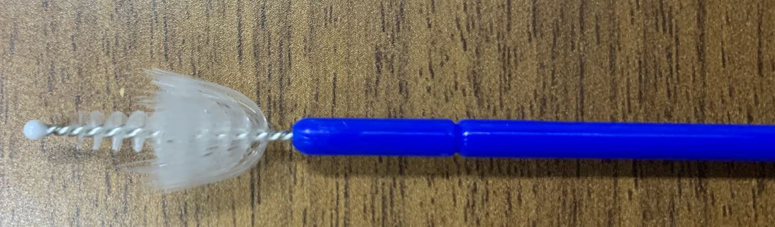 Umbrella Head Cervical Cytology Brush